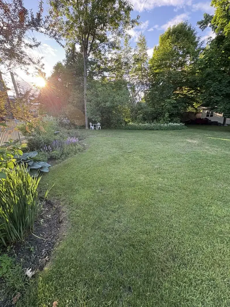 Freshly mowed backyard lawn at golden hour in North Bay with tidy garden border